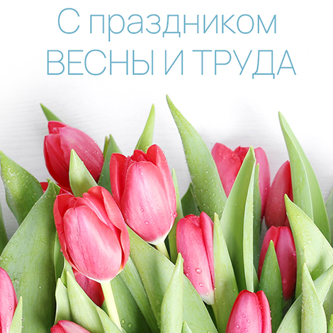 Команда Zottiteam поздравляет всех с праздником 1 Мая!